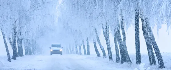 transporter, schnee auf strasse, allee bäume fotolia 123615908