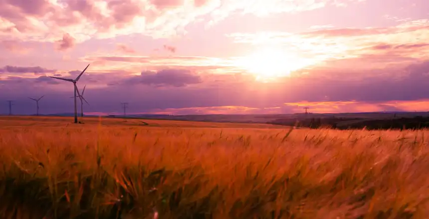 Idyllische Natur mit Feldern und Windrädern in der Nähe von Erfurt
