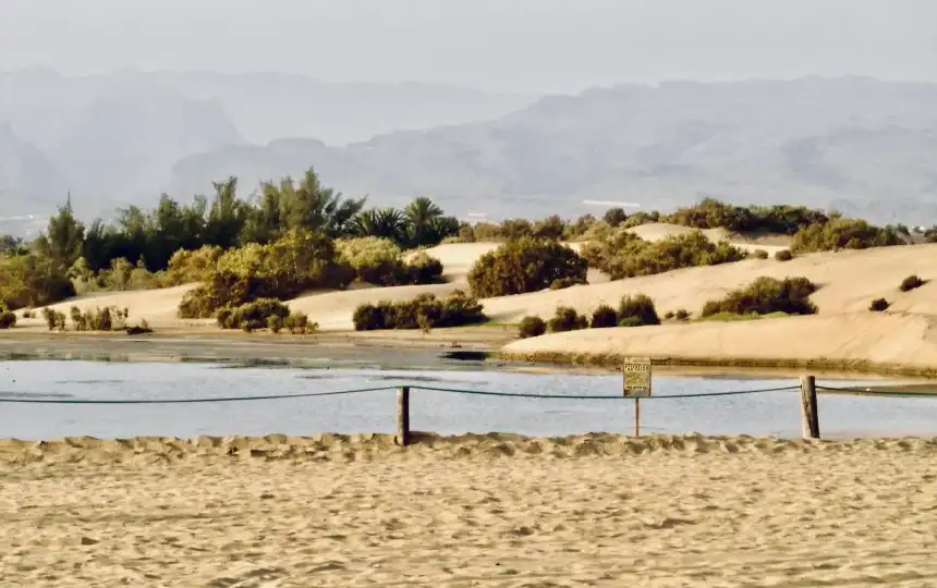 gran canaria dunas maspalomas