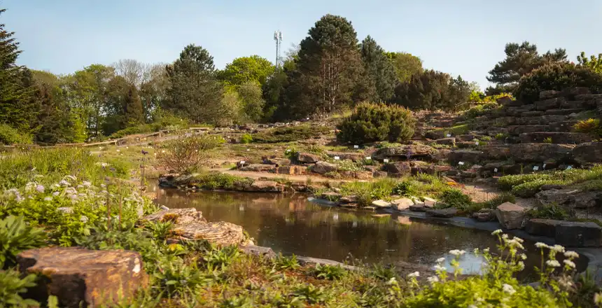 Botanischer Garten der Universität in Osnabrück