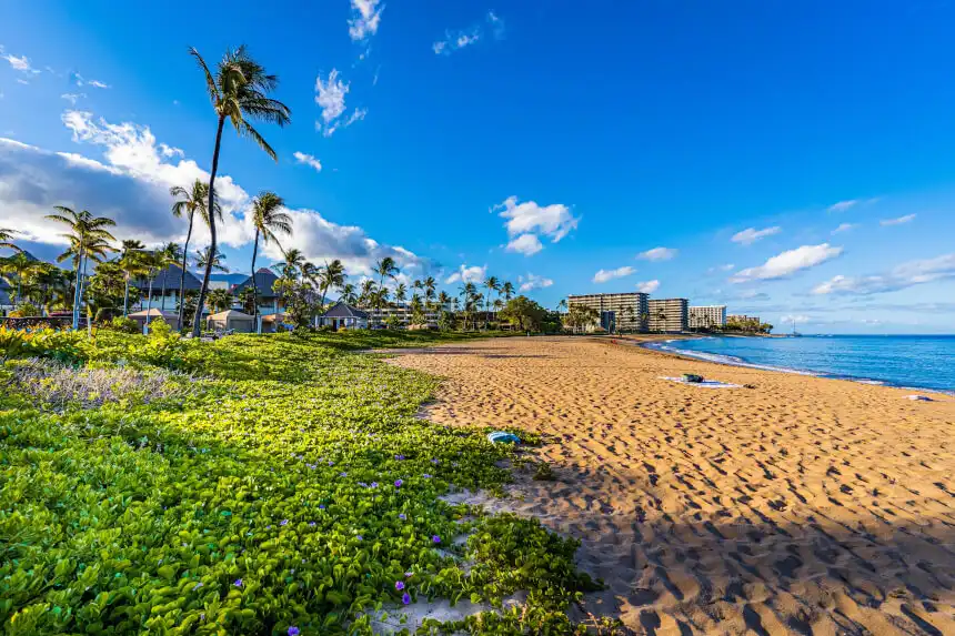 maui hawaii usa benjamin rascoe unsplash