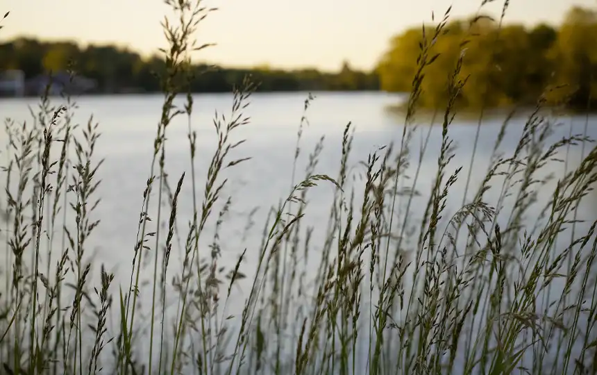 Naherholungsgebiet Kiessee in Göttingen