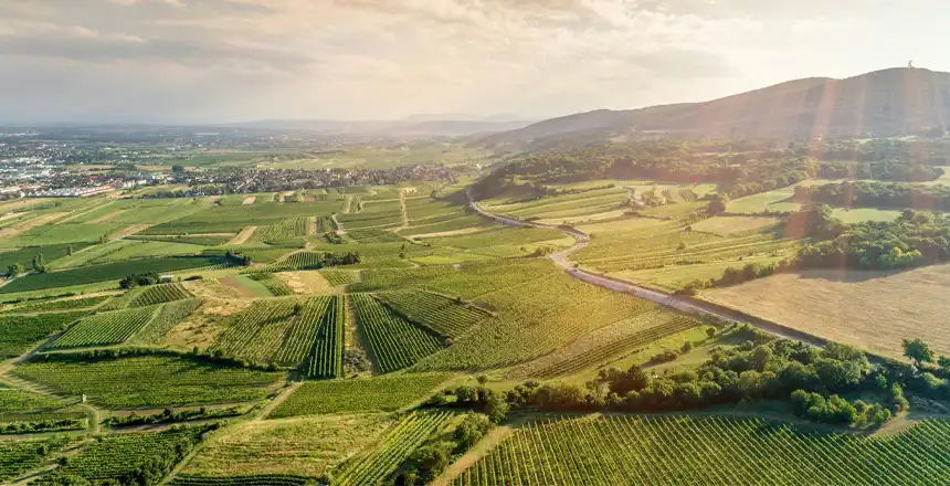 oesterreich-gumpoldskirchen-panorama-weinberge Panoramablick über Weinberge und Landstraße bei Gumpoldskirchen im Umland von Wien, Österreich