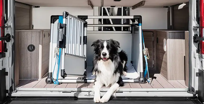 Hund sicher transportieren im Wohnmobil, Hundebox