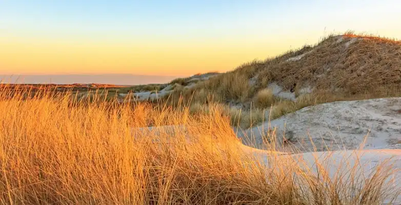 Wattmeer und Sanddünen an der Nordsee, Deutschland