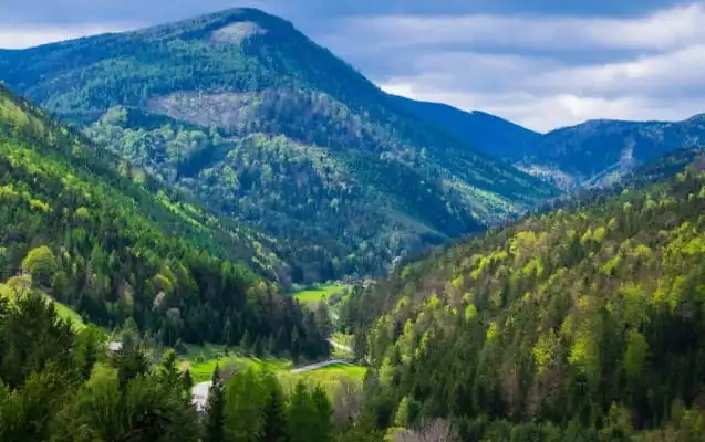 Landschaft in Niederösterreich bei Muggendorf in der Nähe von Wien