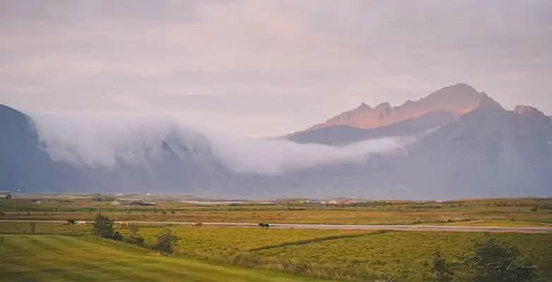 höfn island