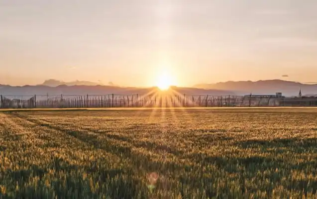 Slowenische Weinregion um Žalec