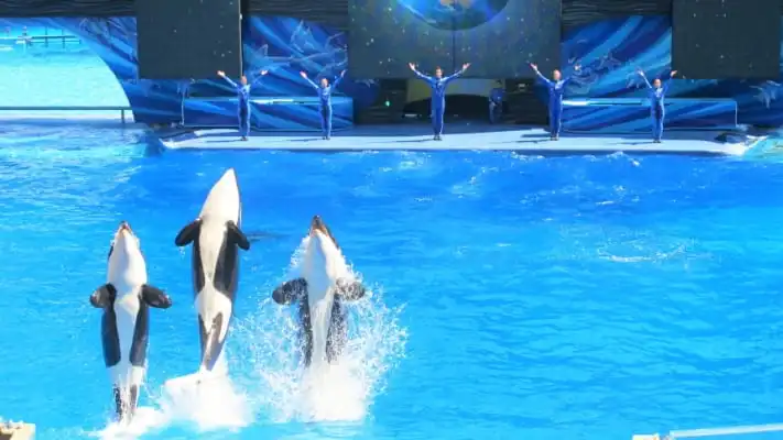 florida seaworld