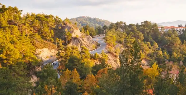 Auto auf Bergstraße zwischen herbstlichen Wäldern auf Zypern