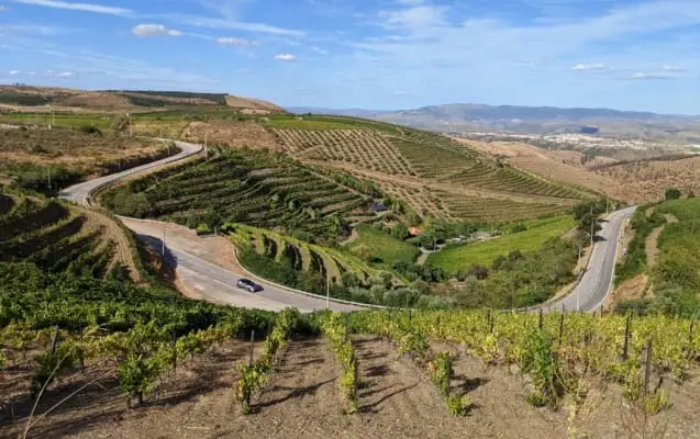 Straße durch Weinberge im Douro Tal in Portugal