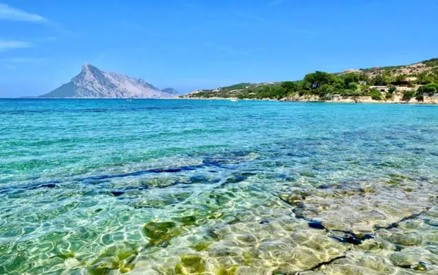 Insel Tavolara bei Olbia auf Sardinien