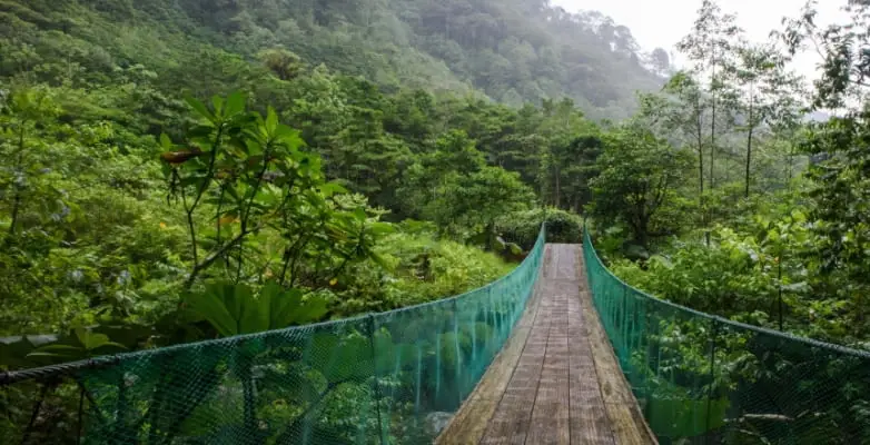 Hängebrücke in der Alajuela Provinz in Costa Rica