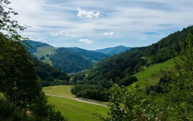 Straße durch die Landschaft im Schwarzwald