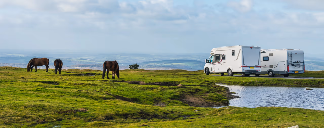 Zwei Wohnmobile neben einer grünen Wiese mit Pferden im Dartmoor Park
