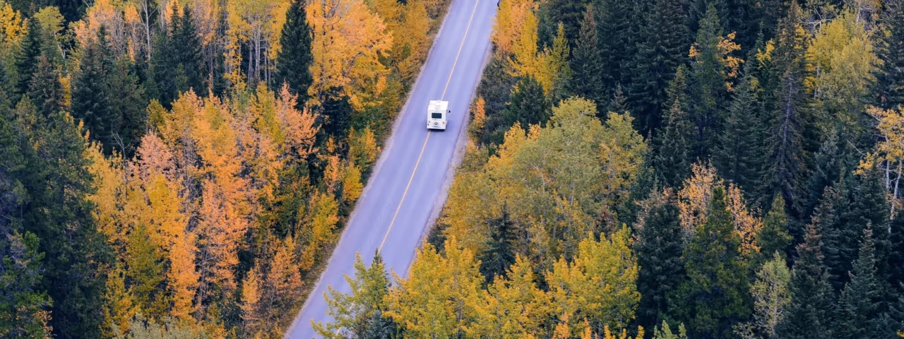 wohnmobil auf strasse, wälder, landschaft