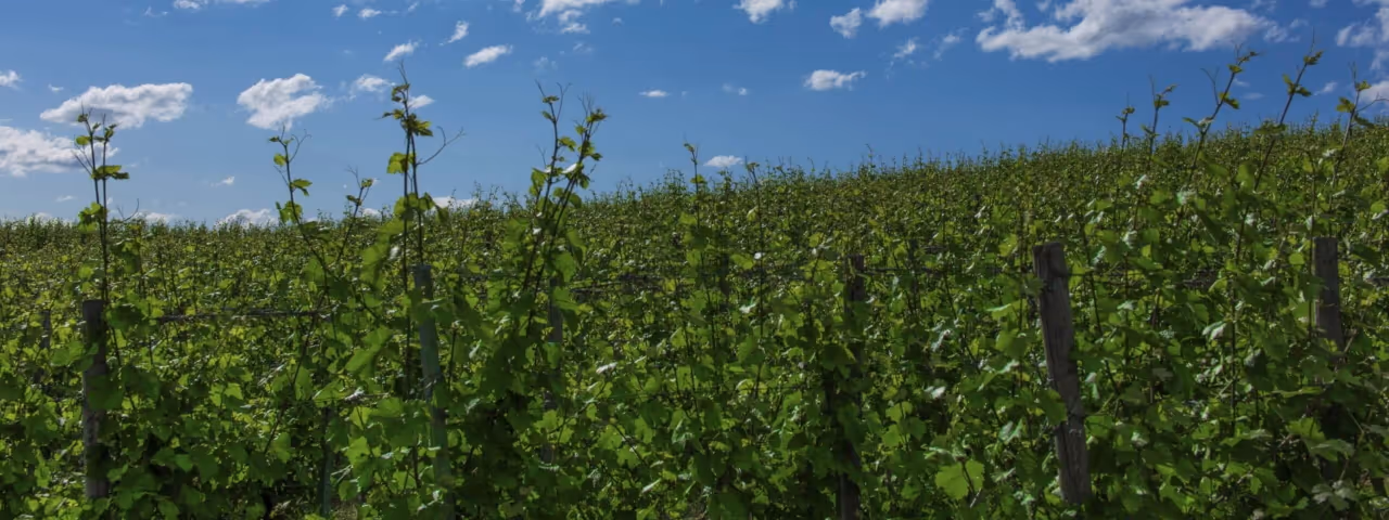 adac autovermietung heilbronn istock 000025396746