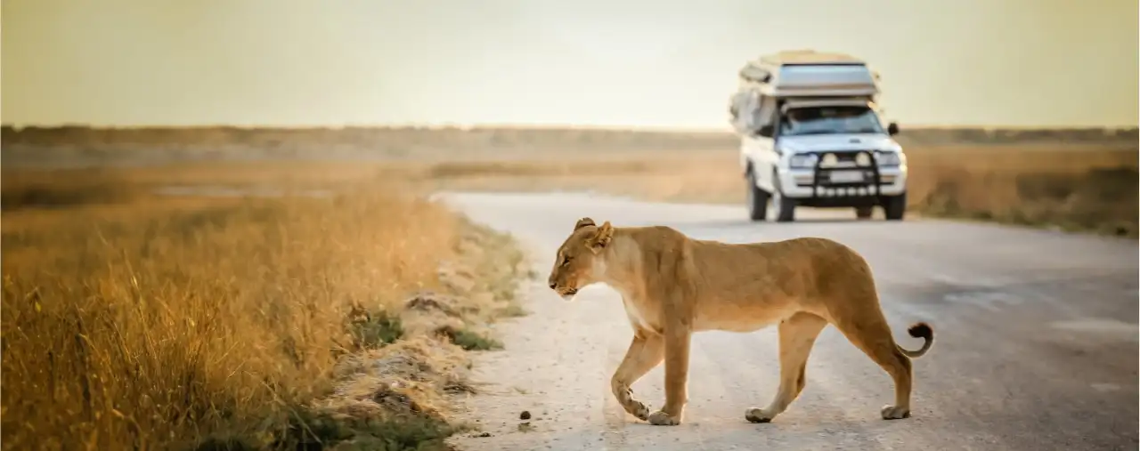 Südafrika mit Wohnmobil