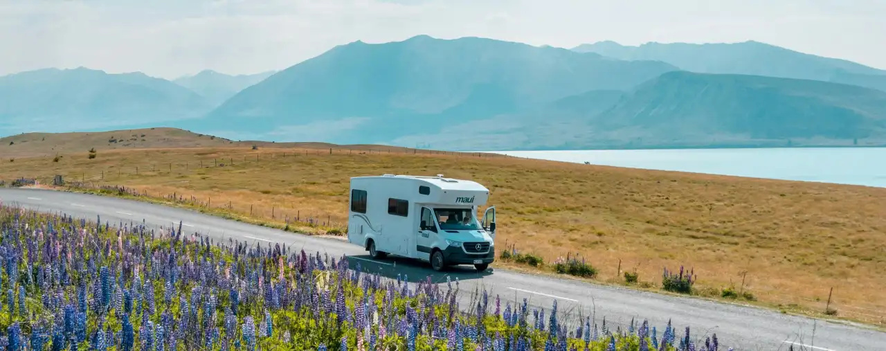 Weißes Wohnmobil auf einer Straße neben Blumenwiese am Tekapo-See in Neuseeland