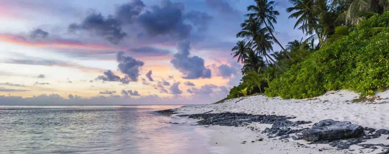 Strand mit Palmen auf Hawaii, USA