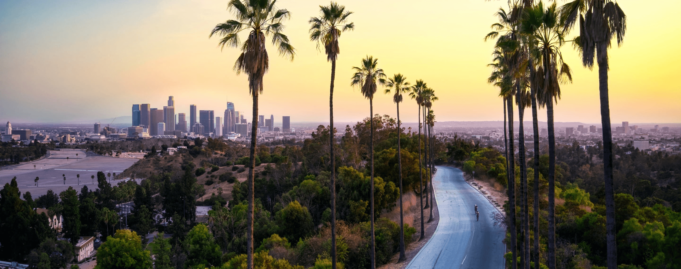 Palmengesäumte Straße in Los Angeles mit Skyline, Kalifornien