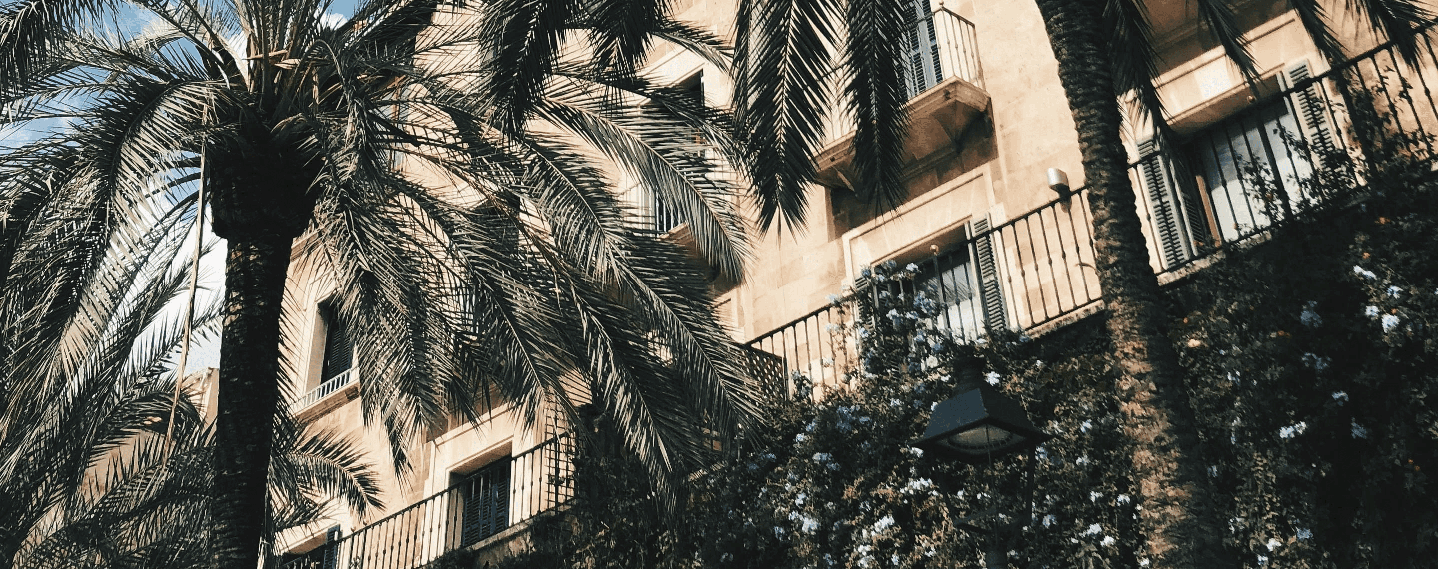 Palmen und Gebäude im Stadtteil Can Pastilla in Palma de Mallorca
