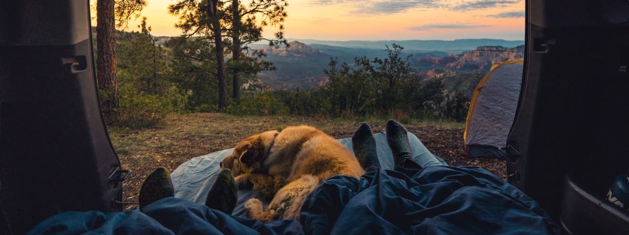 camping mit hund, wohnmobil mit hund, reisen mit hund