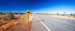 Straße in Australien mit Schild Achtung Känguru