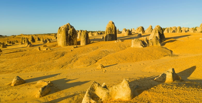 Kalksteingebilde in der Pinnacle Wüste in West-Australien